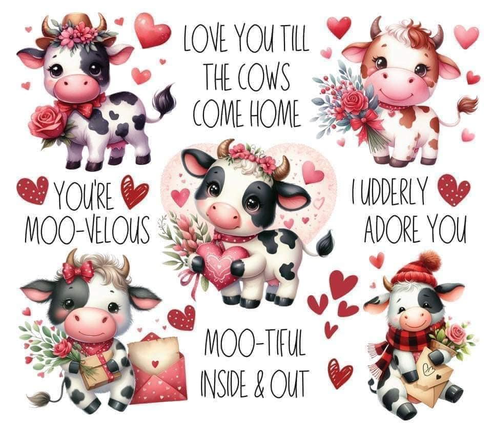 Valentine's Day - Love you Cows