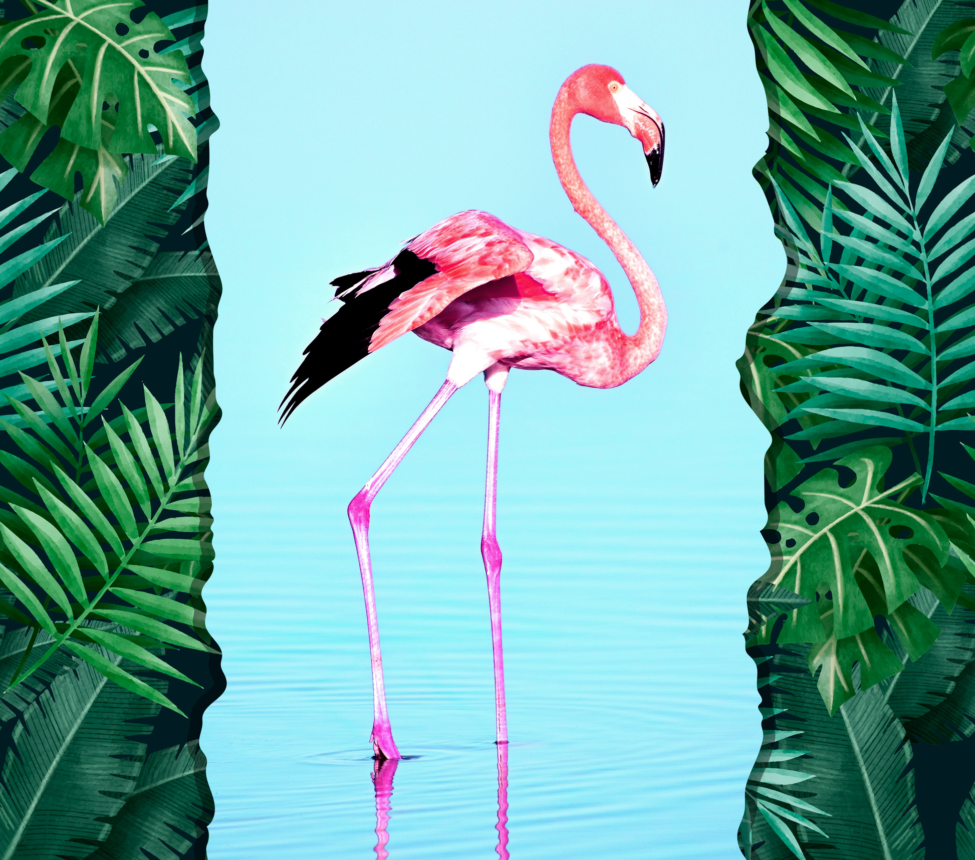 Flamingo - Tropical Vibes 2