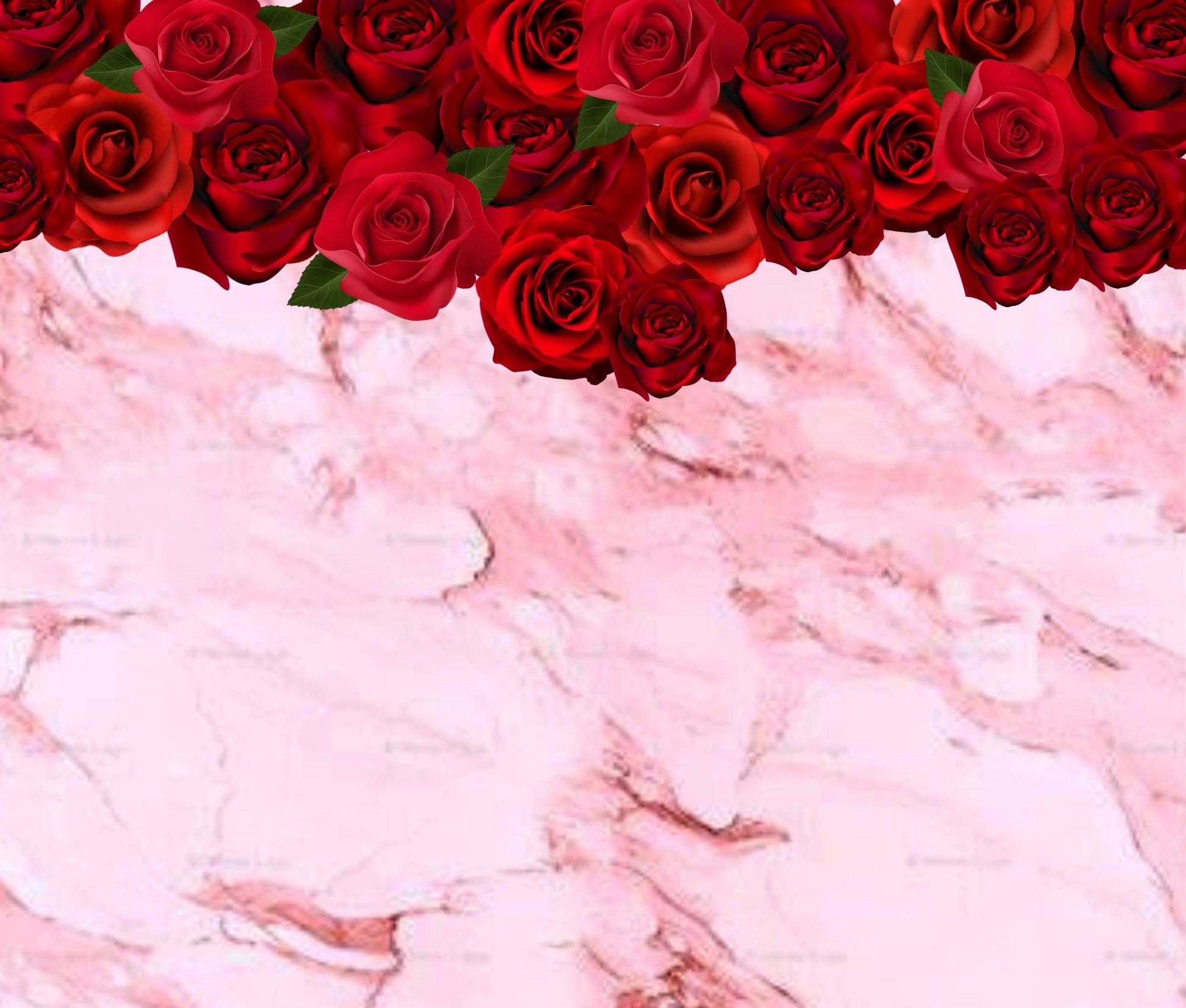 Red Rose with Pink marble