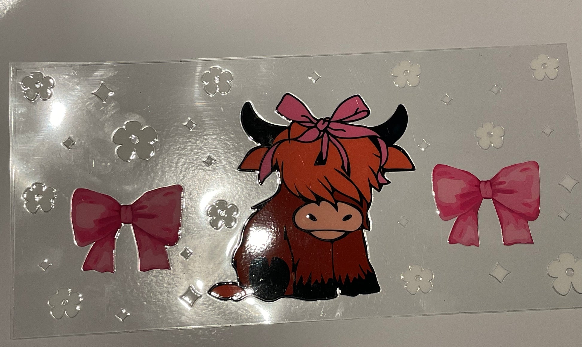 Highland cow 1