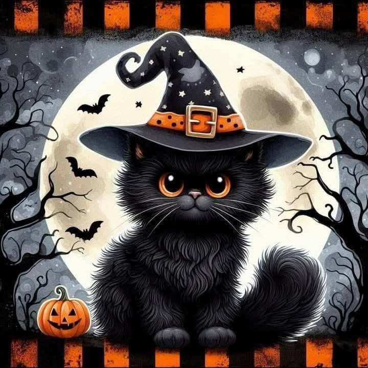 Halloween - Witch black cat