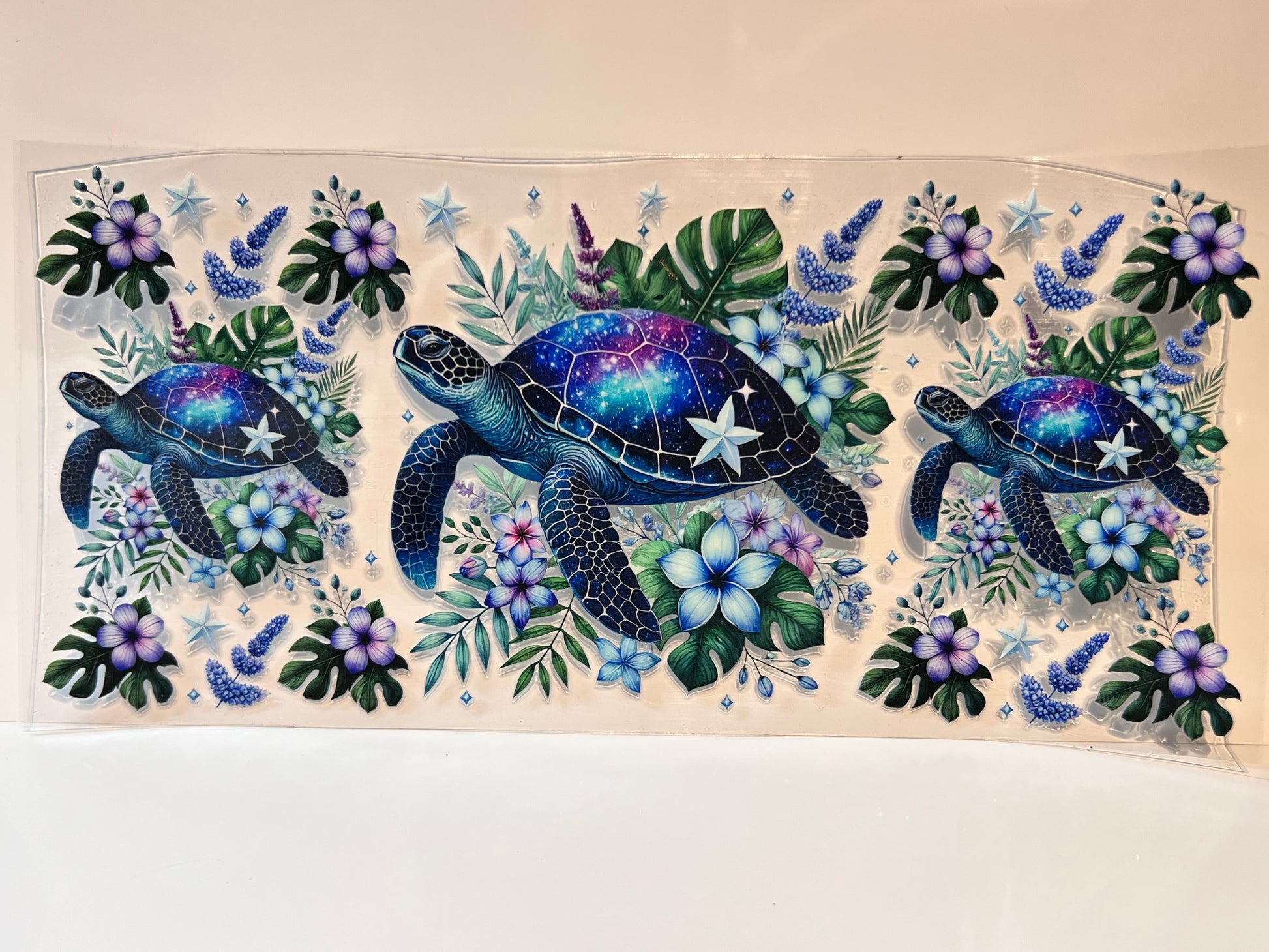 Sea Turtle 1