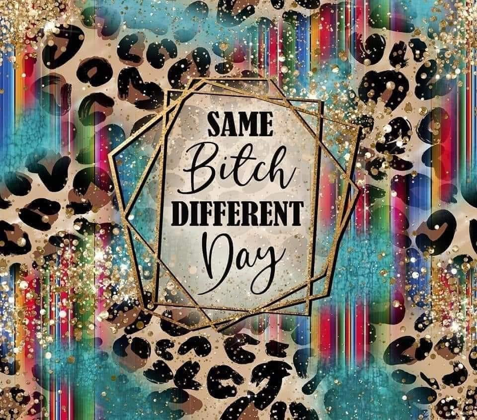 Same Bitch Different Day