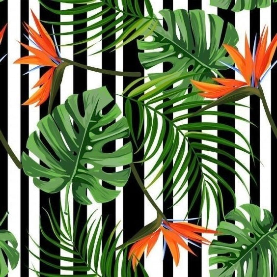 Jungle Orange