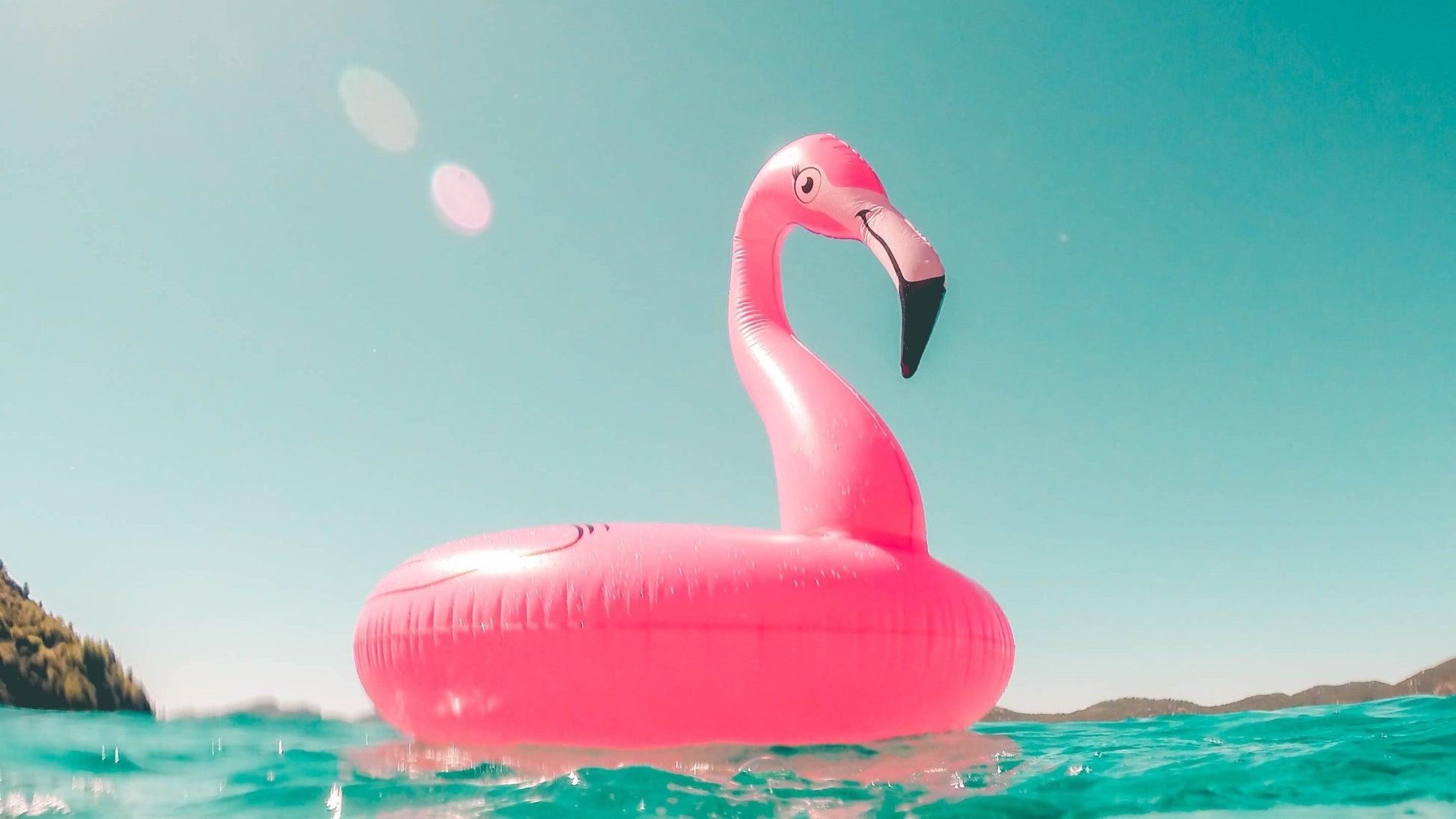 Flaingo - Pool Float